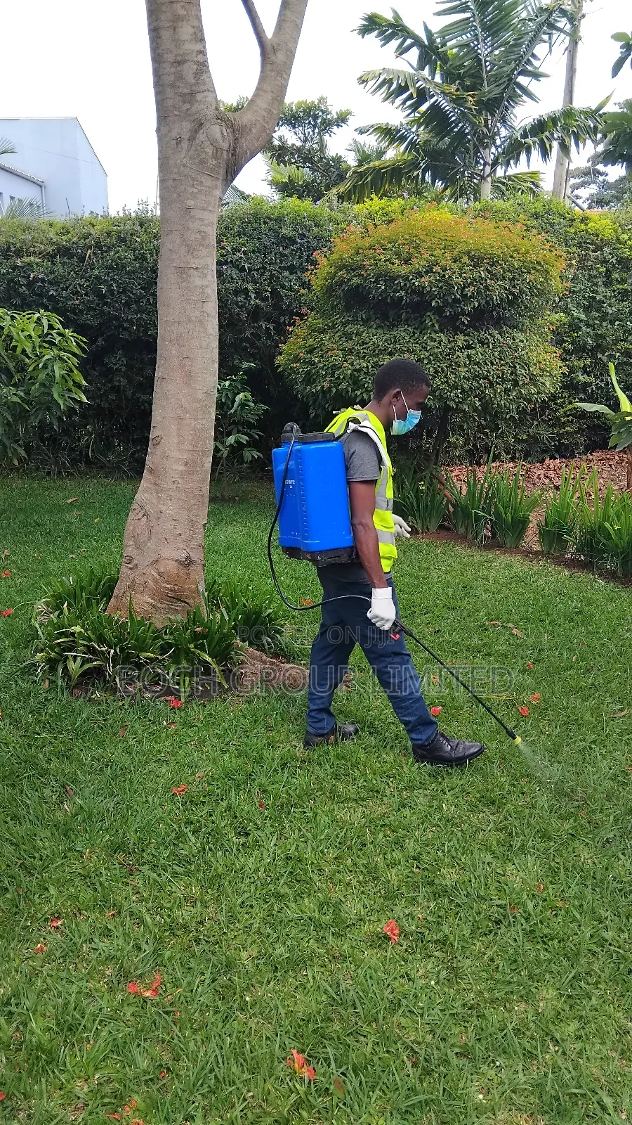 Fumigation at Once