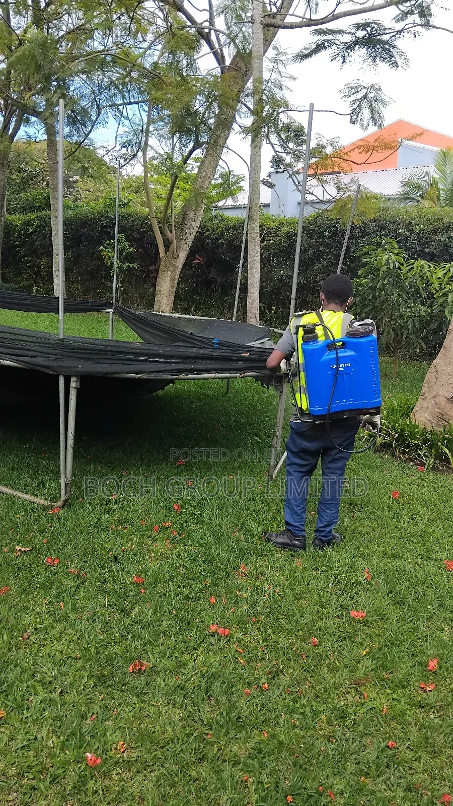 Fumigation at Once