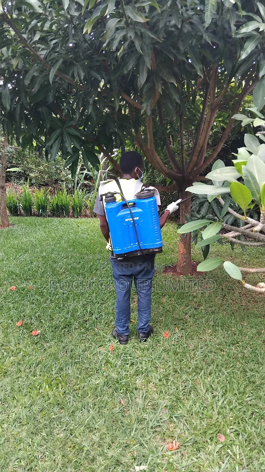 Fumigation at Once