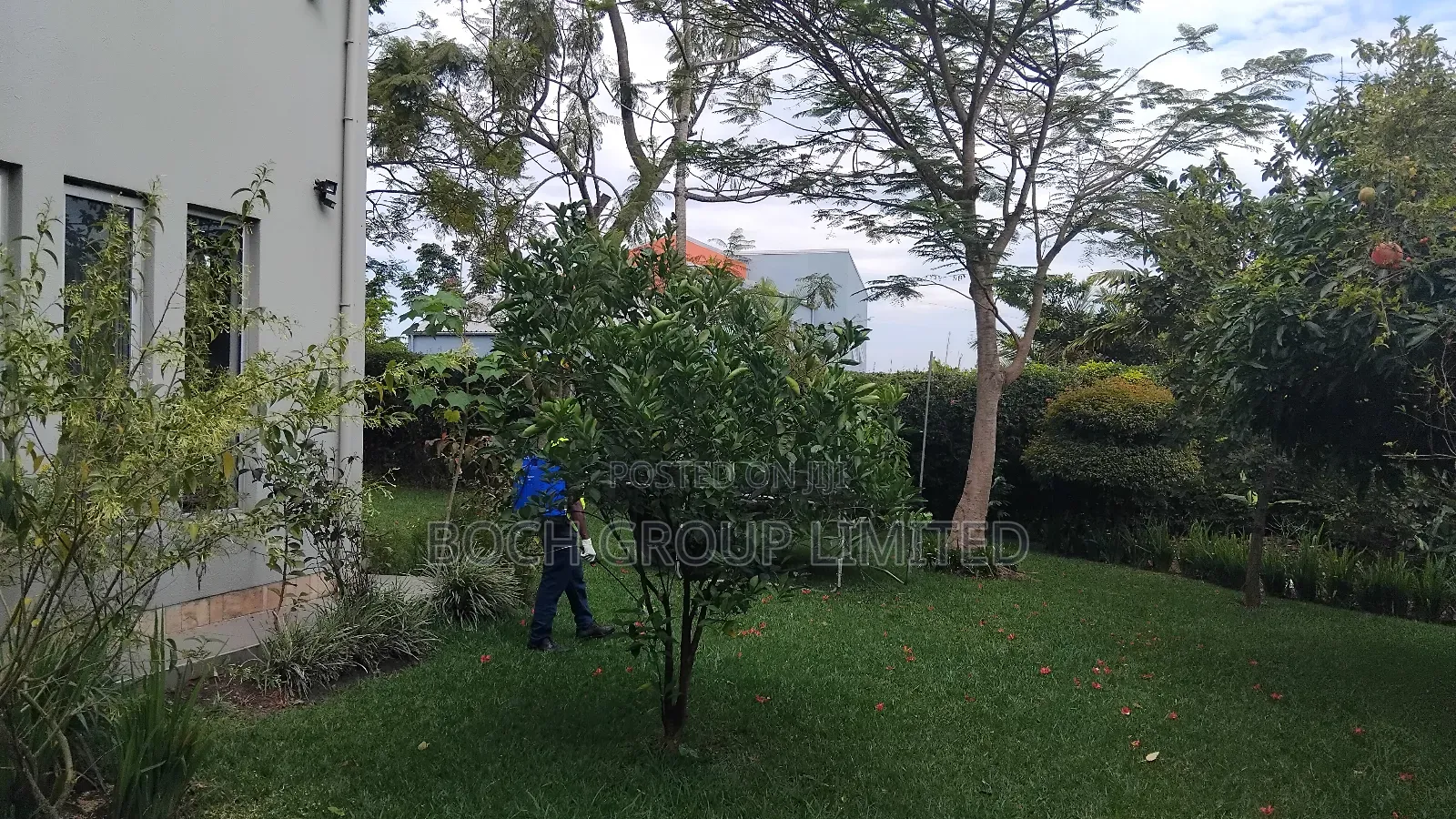 Fumigation at Once
