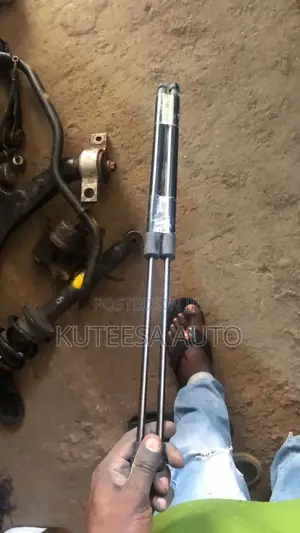 Mark X Old Model Bonent Shocks