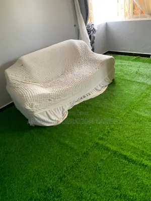 Suitable Grass Carpet for Recreation Areas