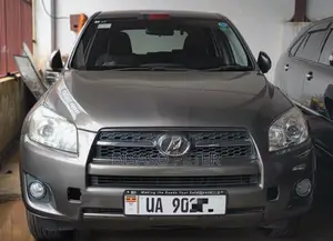 Toyota RAV4 2.5 2010 Gray