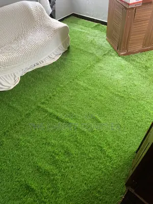 Sitting Room Grass Carpets Squaremeter