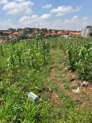 5 Acres of Land in Kiwanga Buto Bweyogerere