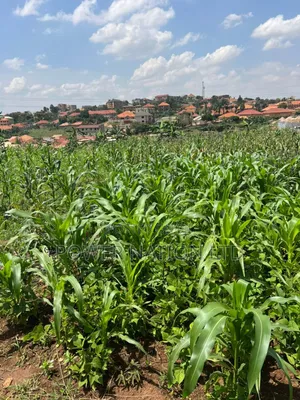 5 Acres of Land in Kiwanga Buto Bweyogerere