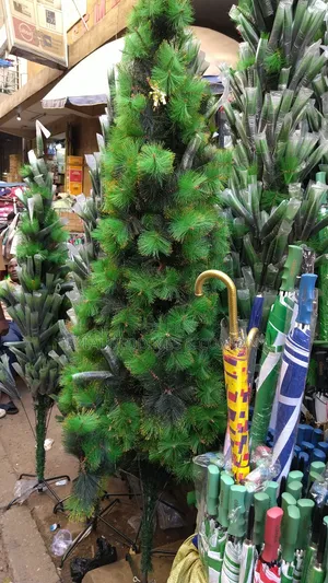 Pine Christmas Tree -Green