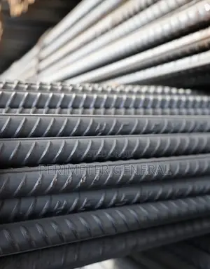Iron Bar T12