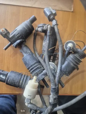 Washer Fluid Motors