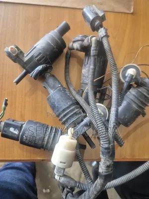 Washer Fluid Motors