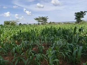 2000 Acres of Land for Sale in Nwoya District in Northern Uganda