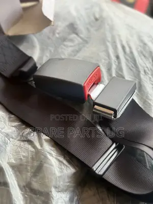 Universal Safety Belts