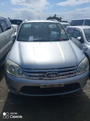 Ford Escape Hybrid 2008 Gray