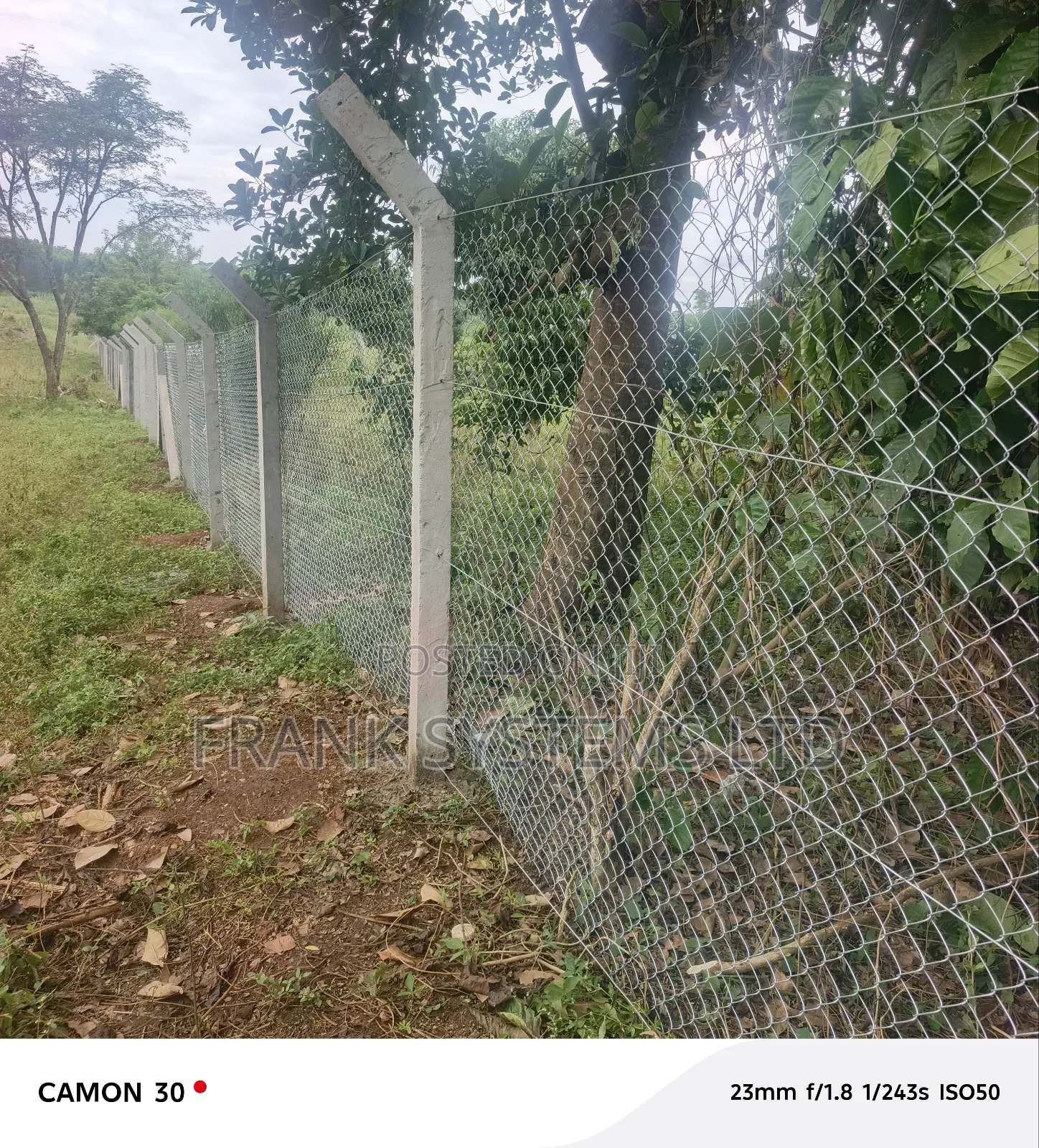 Chain Link Fencing