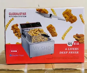 Electric Chips Fryer 6l