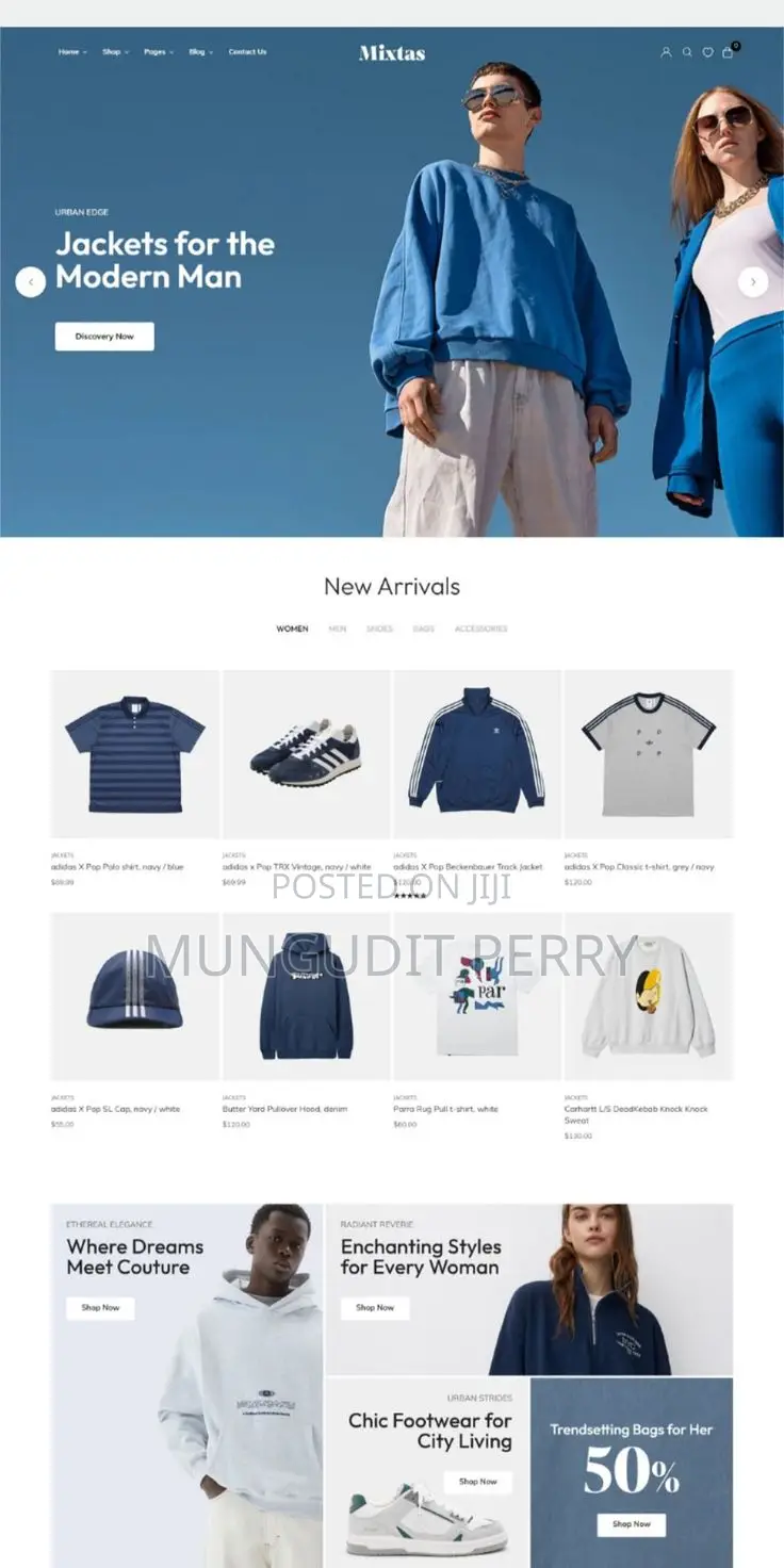 Website and Software Design