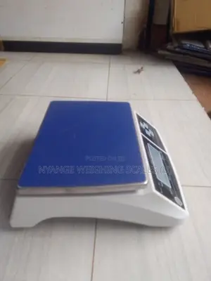 Lcd Display Weigh Digital 30kg Weighing Scale Digital Weighing Scale