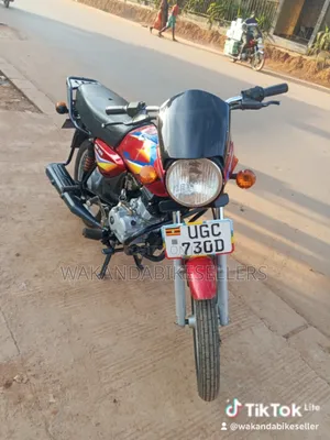 Bajaj Boxer 125 2024 Red