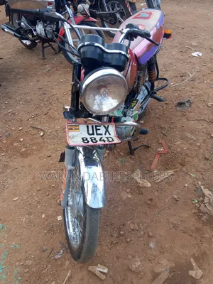 Bajaj Boxer 100 2019 Red
