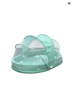 Baby Net With a Mattress