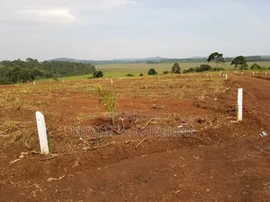 50 * 100 Ft Titled Plots in Konge