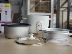 Mini Rice Cooker With a Steamer
