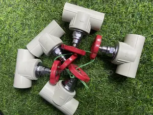 PPR Gate Valve 3/4