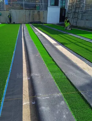 Turf Pitch Grass