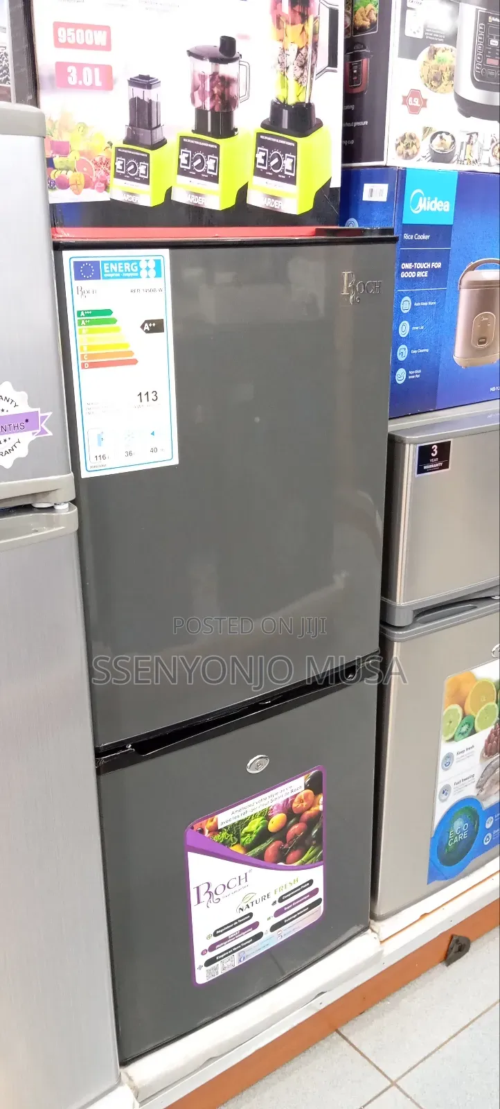 Roch 145l Double Door Bottom Freezer Refrigerator – Energy Saving