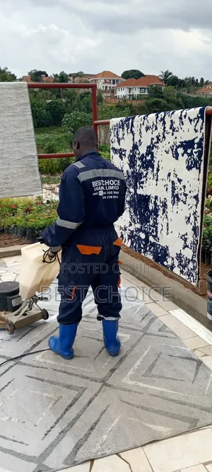 Professional Carpet Cleaning Solutions for a Healthier Environment