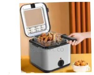3l Stainless Steel Electric Fries Fat Deep Fryer-Silver
