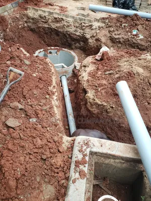 Biodigester Designs for Your Space