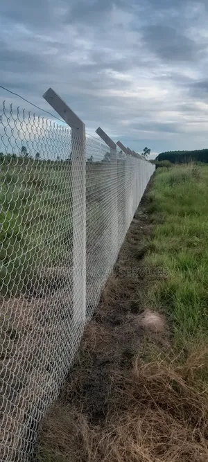 Chain Link Fencing