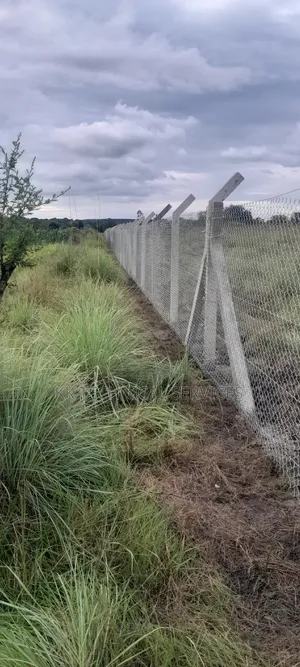 Chain Link Fencing