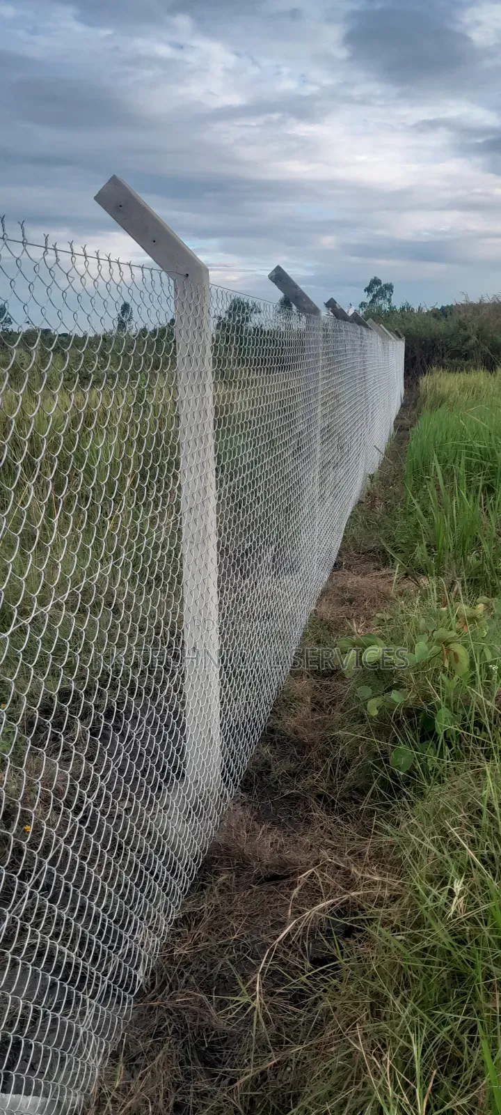 Chain Link Fencing