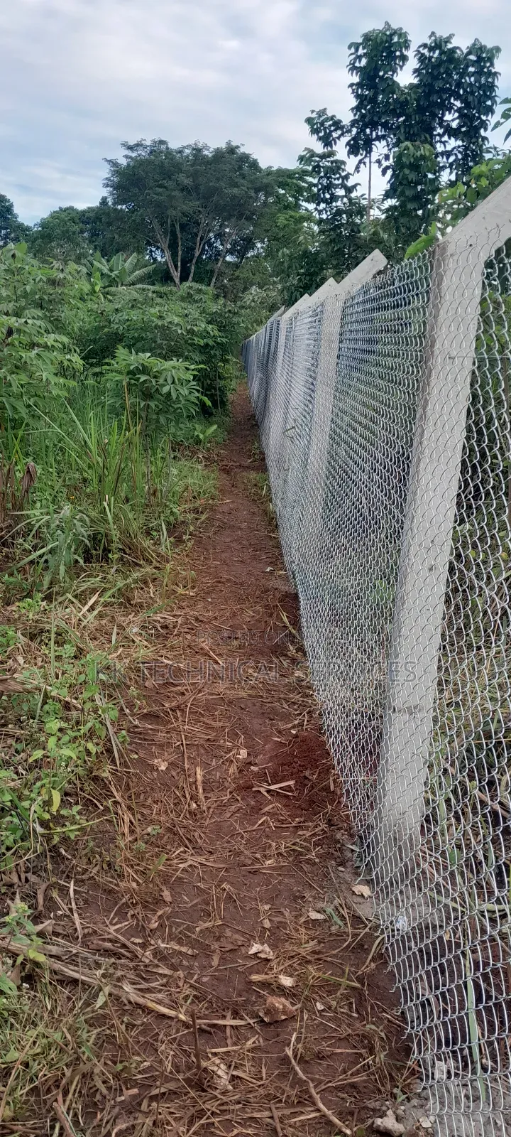 Chain Link Fencing