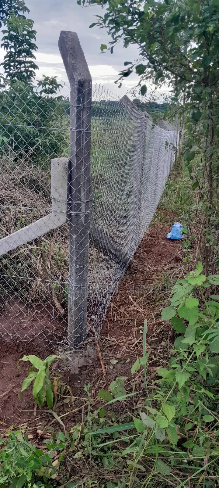 Chain Link Fencing
