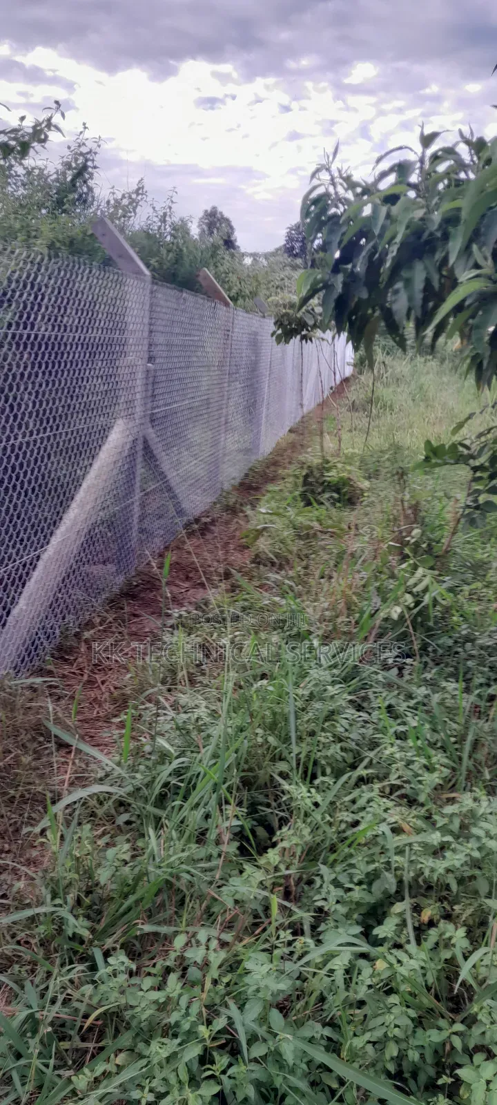 Chain Link Fencing