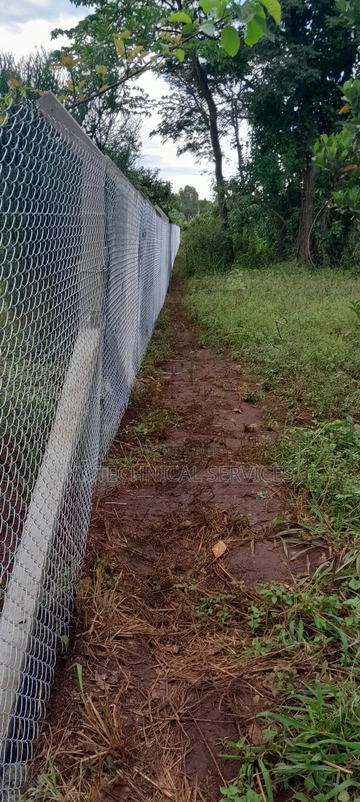 Chain Link Fencing