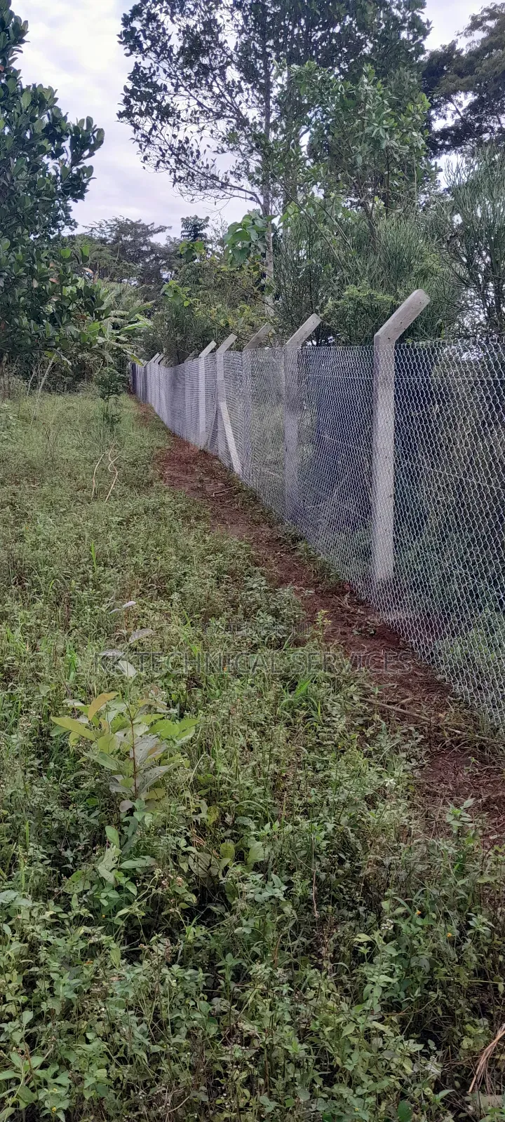 Chain Link Fencing