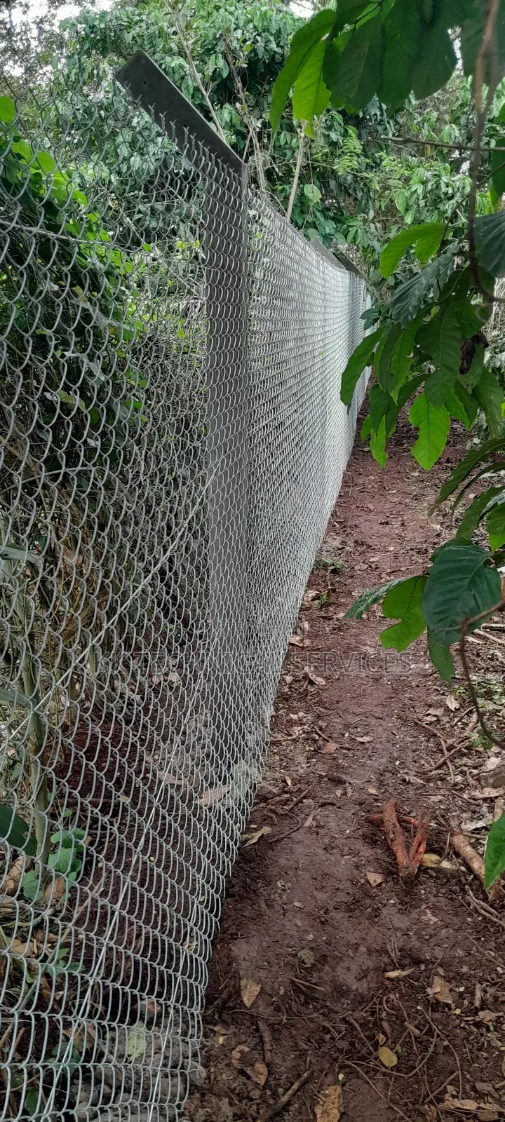 Chain Link Fencing