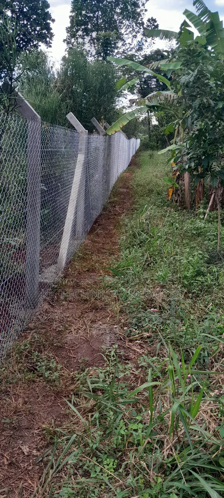 Chain Link Fencing