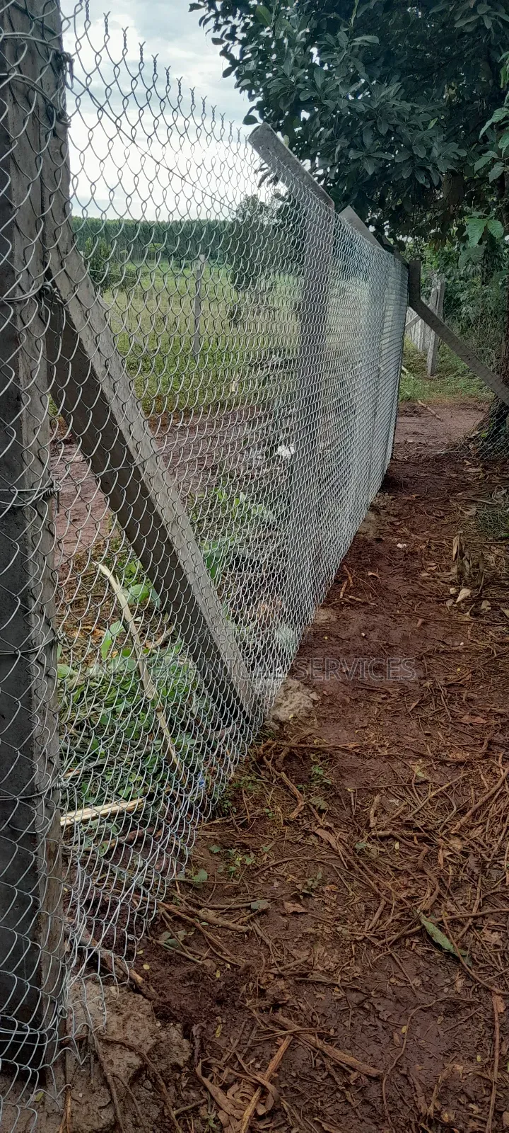 Chain Link Fencing
