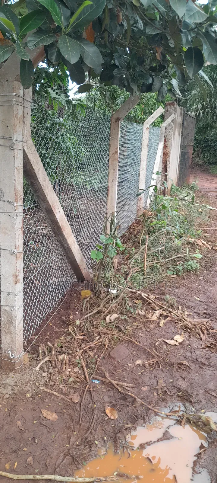 Chain Link Fencing
