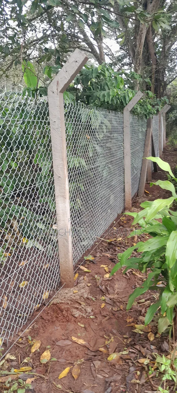 Chain Link Fencing