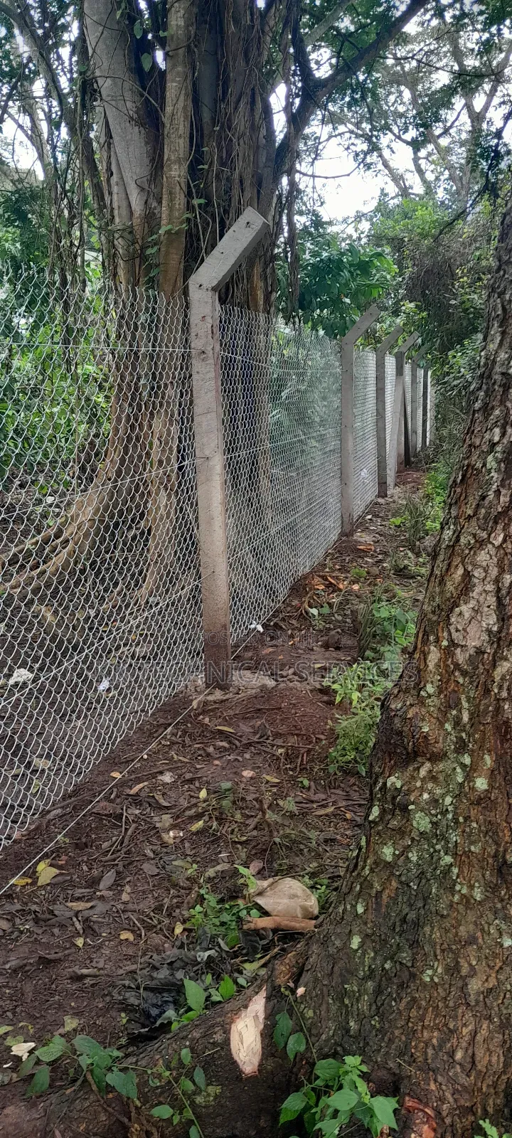 Chain Link Fencing