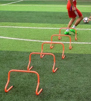 Training Hurdles
