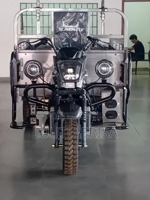 New Tricycle 2024 Gray