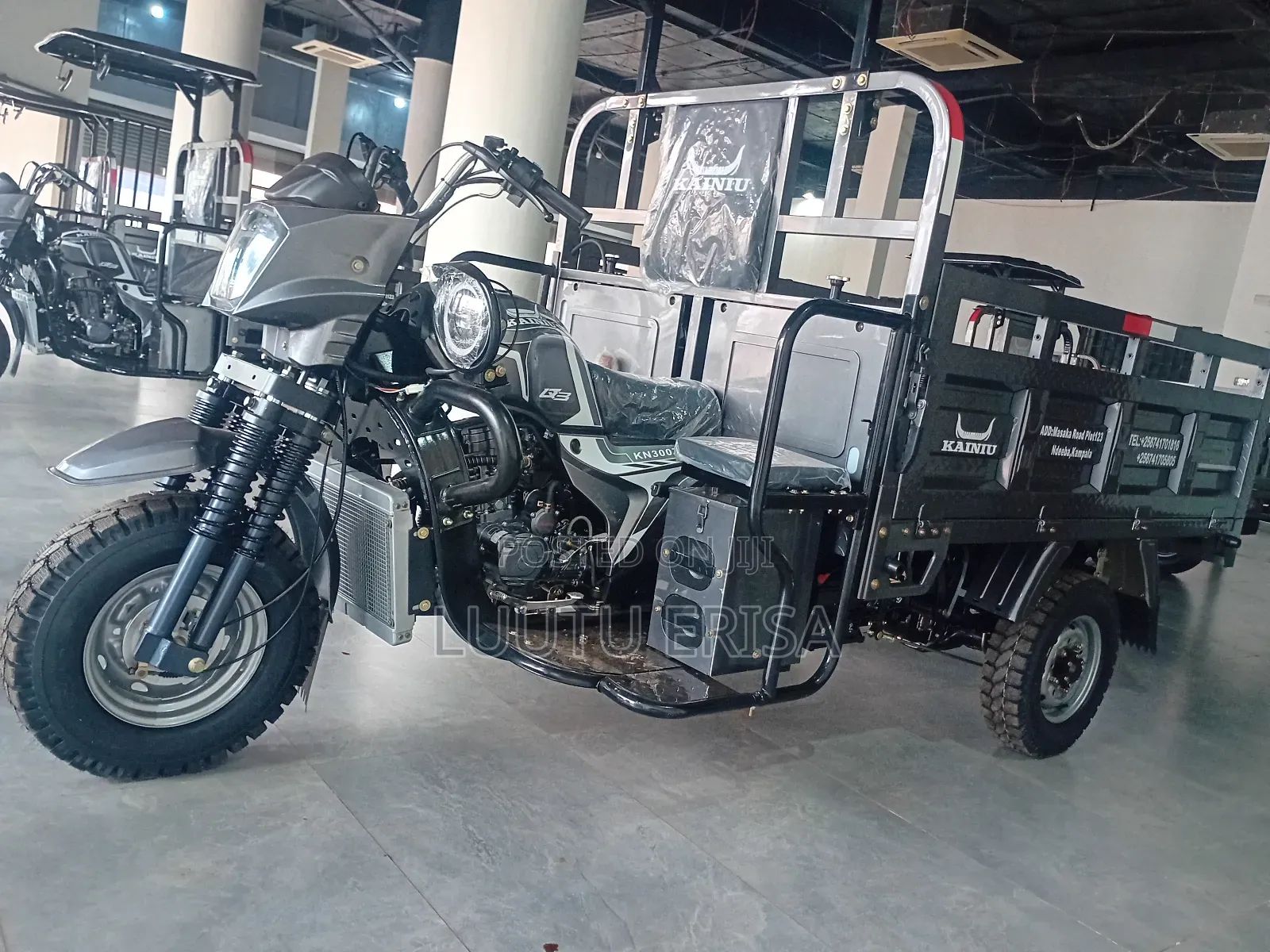 New Tricycle 2024 Gray