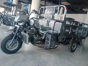 New Tricycle 2024 Gray